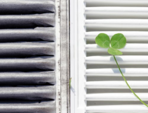 Ask Dirk: Which air cleaner should I use for optimum indoor air quality?