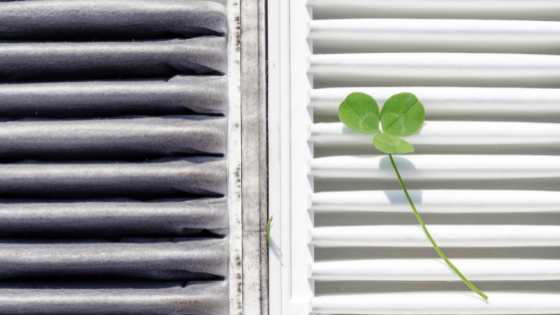 Air cleaner media filter clean and dirty with shamrock