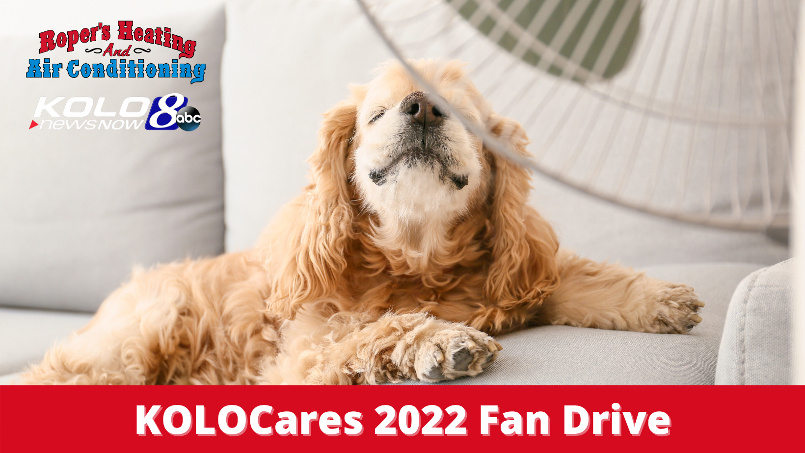 Dog laying on couch enjoying air from a table fan. Text is KOLOCares 2022 Fan Drive