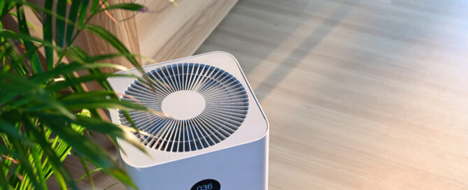 Indoor air quality shown with an air purifier and a house plant